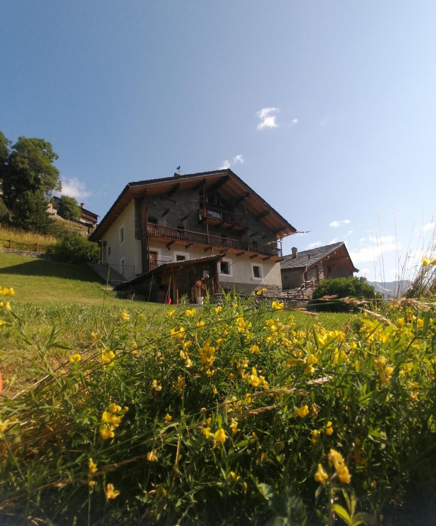 La Thuillettaz B&B Saint-Rhemy-En-Bosses Exterior foto